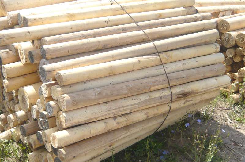 Березовый карандаш на дрова в Тюмени
